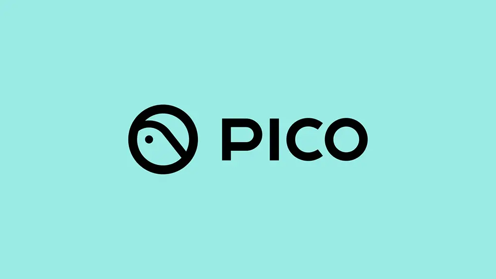 Pico VR